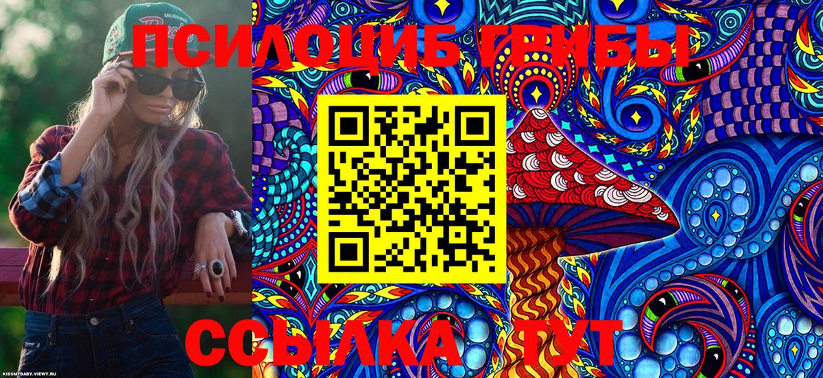 Псилоцибиновые грибы GOLDEN TEACHER  где продают наркотики  Обнинск  Вход с VPN 